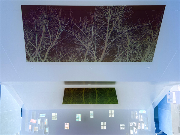 1624005980302216.jpg 9833b2416f4a8813923cfdc3efda20d.jpg