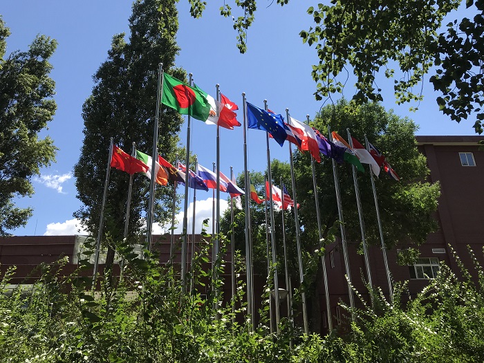 1697681409275373.jpg 391e251563d78d617a1f10f92d90bba.jpg